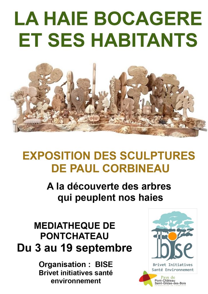 Une exposition consacrée au rôle fondamental des haies et du bocage, sublimée par les sculptures de Paul Corbineau.